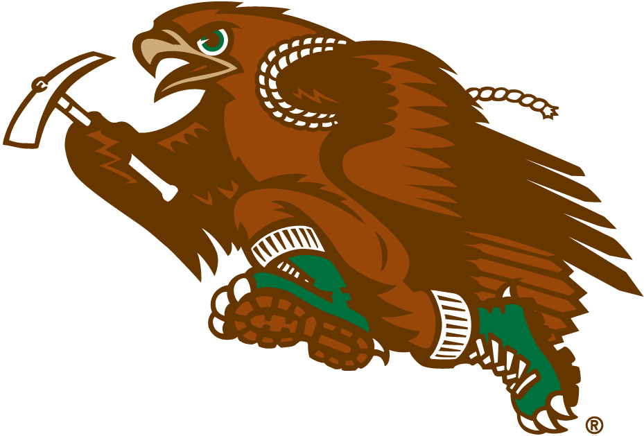 Lehigh Mountain Hawks 1996-Pres Mascot Logo iron on transfers for T-shirts